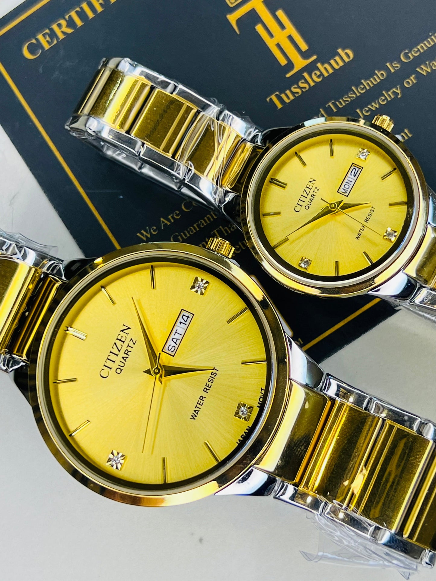 Two Tone Gold Axiom Couple Watch