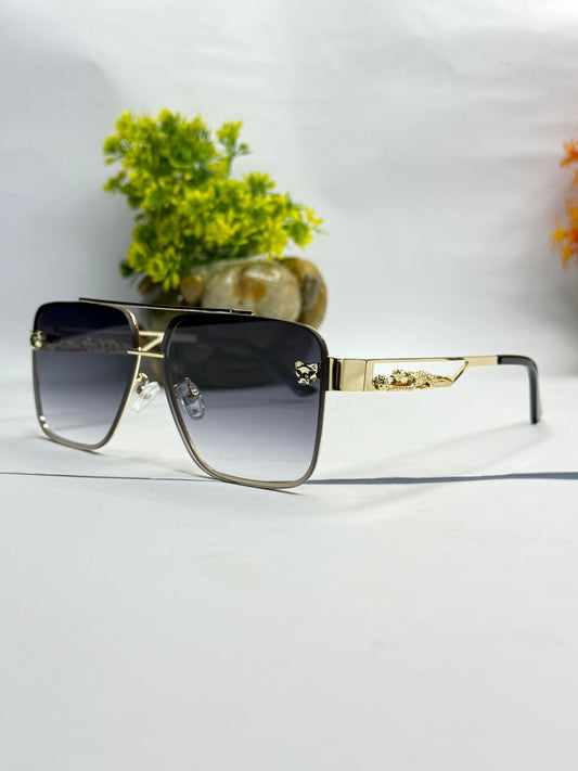 Cheetah Untamed elegance in the sun.