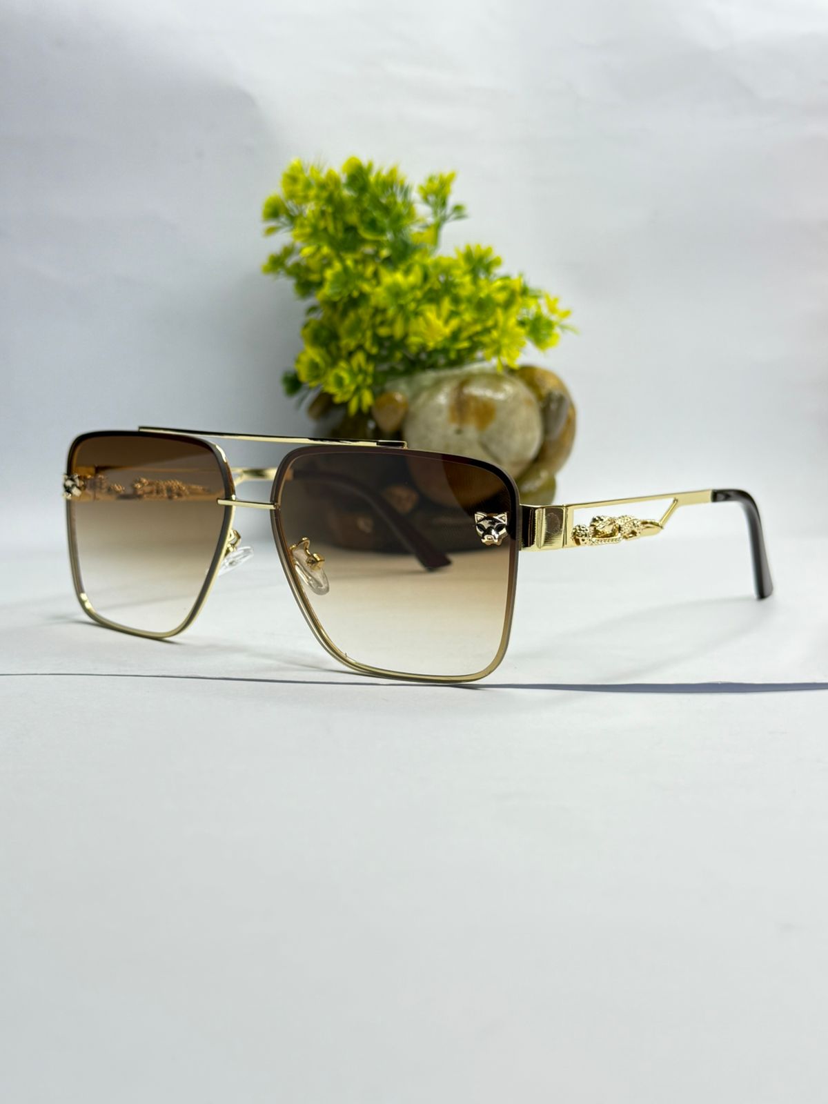 Cheetah Untamed elegance in the sun.