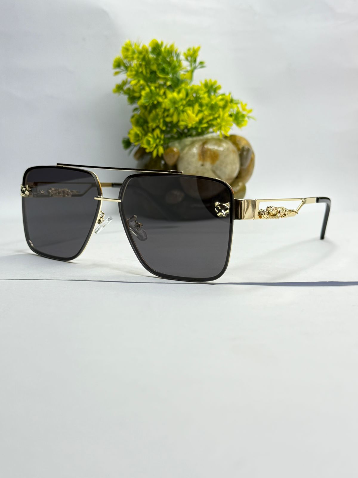 Cheetah Untamed elegance in the sun.